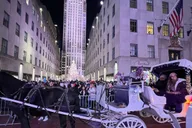 New York City Christmas Lights Horse Carriage Ride thumbnail 1