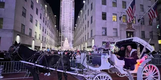 New York City Christmas Lights Horse Carriage Ride