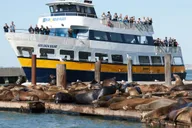 San Francisco Alcatraz Tour with Bay Cruise thumbnail 2