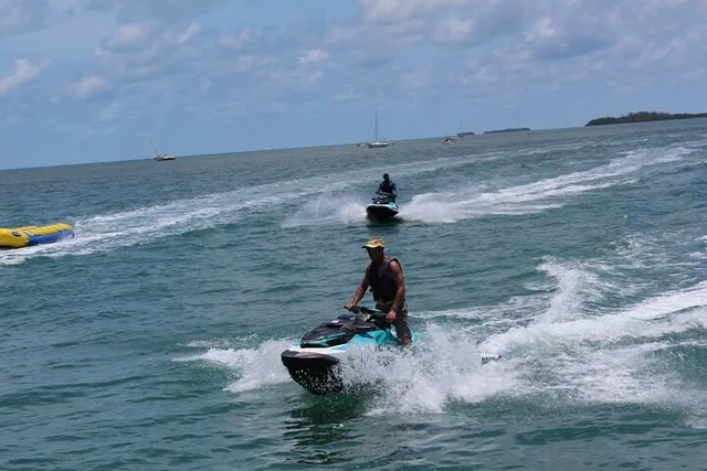 Miami Key West Dolphin Discovery and Snorkeling - Image 2