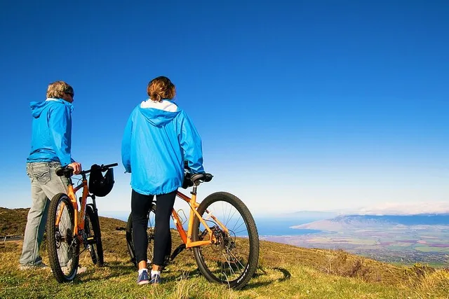 Maui Self-Guided Bike Tour from Haleakala - Image 5