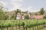 Temecula Wine Tour from Irvine thumbnail 3