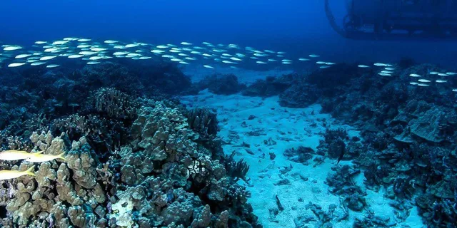 Kona Underwater Submarine Adventure - Image 4