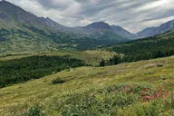 Anchorage Chugach State Park Nature Walk thumbnail 5