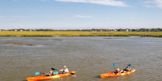 Charleston Paddleboard and Kayak Rentals - Image 2