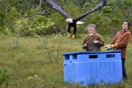 Sitka Alaska Raptor Center Admission thumbnail 1