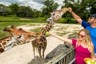 Miami Zoo Admission Ticket thumbnail 1