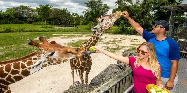 Miami Zoo Admission Ticket - Image 1