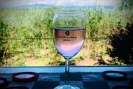 Asheville Wine Tour with Dining in Black Mountain thumbnail 1