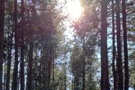 Rapid City Mt. Rushmore & Flume Trail Tour thumbnail 2