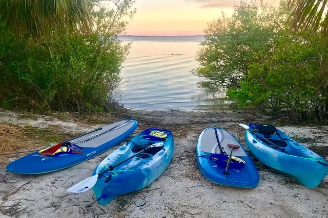 Banana River Eco Paddle Tour - Image 3