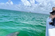 Destin Snorkeling and Dolphin Cruise thumbnail 5