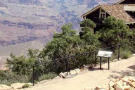 Grand Canyon Wildlife Safari with Skip-the-Line thumbnail 3