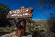 Tulare Sequoia National Park Adventure thumbnail 2