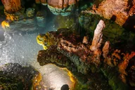Washington DC Luray Caverns Day Trip thumbnail 3