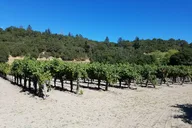 Sonoma Wine Tasting Tour thumbnail 5