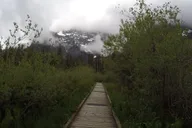 Nature Tour and Hike thumbnail 4