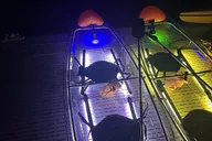 Santa Rosa Beach Glow Kayaking thumbnail 5