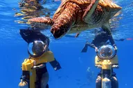 Oahu Submarine Scooter Adventure thumbnail 6