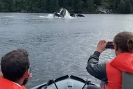 Ketchikan Zodiac Boat Adventure thumbnail 5