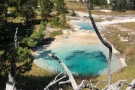 Yellowstone Hidden Gems Private Tour thumbnail 5
