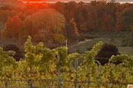 Traverse City Wine Tour at Sunset 4 hr thumbnail 6