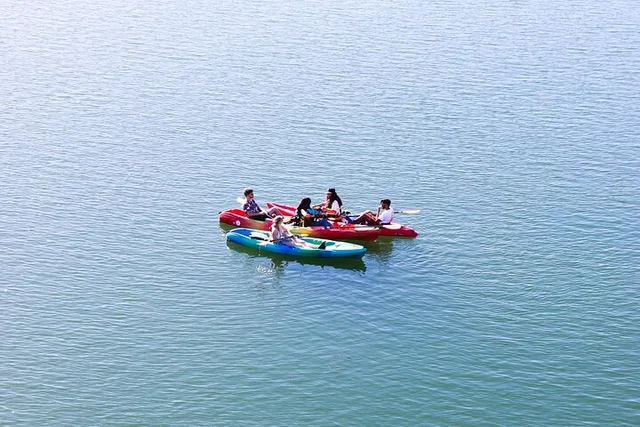 Austin Skyline Kayak Tour - Image 5