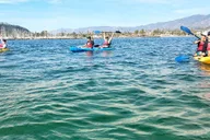 Santa Barbara Harbor Wildlife Kayak Tour 2 hr thumbnail 4
