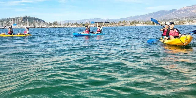 Santa Barbara Harbor Wildlife Kayak Tour 2 hr - Image 4