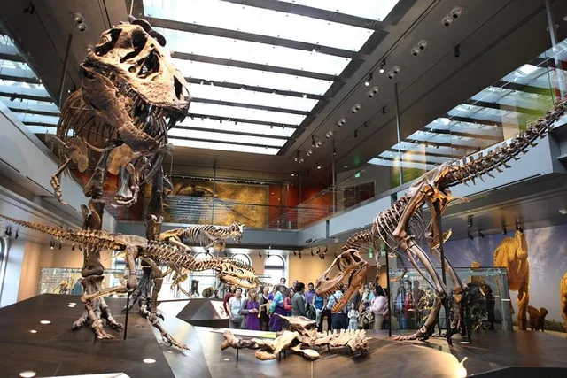 Los Angeles Natural History Museum Admission - Image 2