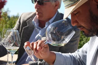 Willamette Valley Wine Tasting Tour with Artisan Lunch