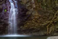 Maui Rainforest and Waterfall Walk & Swim thumbnail 5