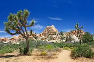 California Self-Guided Driving & Walking Tour Bundle thumbnail 4