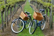 Mattituck Wine Country Bike Tour thumbnail 2