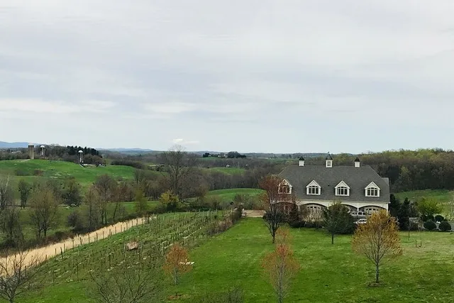 Washington DC Virginia Winery Wine Tasting Tour - Image 3