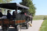 Gettysburg Horse-Drawn Carriage Tour Countryside thumbnail 6