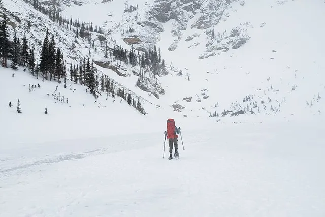 Rocky Mountain National Park Women's Snowshoeing Tour - Image 4
