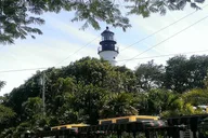 Key West Dolphin Watch and Snorkel with Hop-On Hop-Off thumbnail 2
