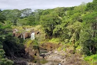 Hilo Waterfalls and Volcanoes Guided Tour thumbnail 6