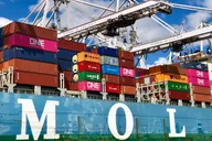 Savannah Port and Dolphin Eco Tour thumbnail 6