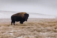 Badlands Winter Expedition thumbnail 3
