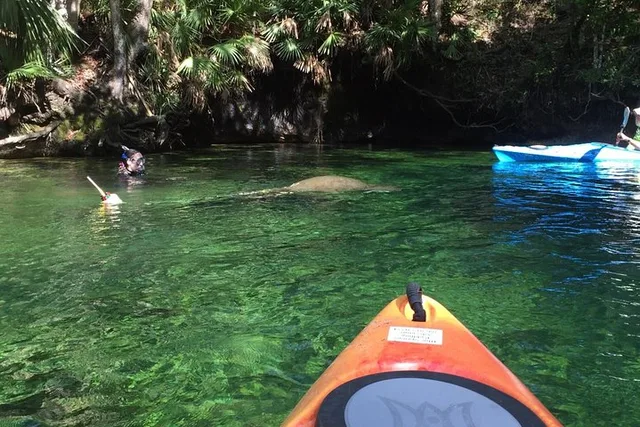 Sanford Wekiva River Kayak Tour Full-Day - Image 5