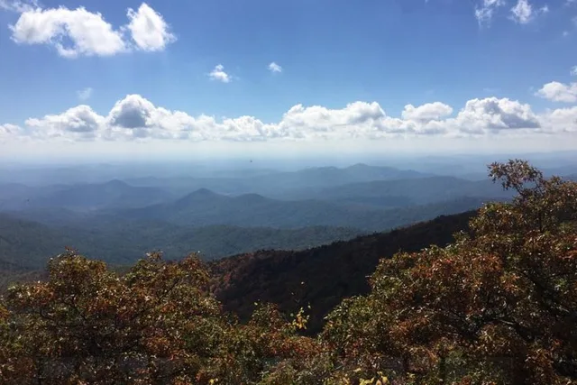 Bartram Trail Hike and Wine Tasting - Image 2