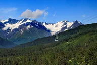 Anchorage Wildlife and Alyeska Tram Tour thumbnail 5