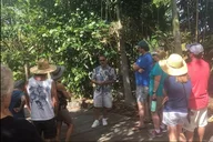 Holualoa Farm Tour: Coffee and Chocolate Experience thumbnail 1
