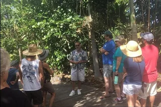 Holualoa Farm Tour: Coffee and Chocolate Experience