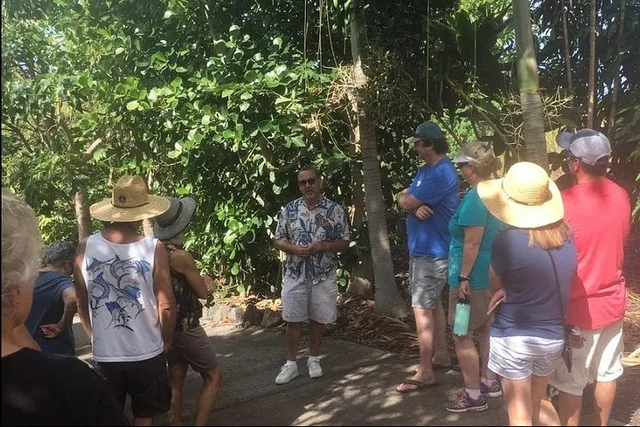 Holualoa Farm Tour: Coffee and Chocolate Experience - Image 1
