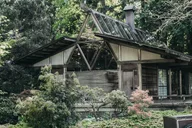 Bainbridge Island Bloedel Reserve Tour 3 hr thumbnail 5