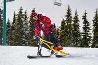 South Lake Tahoe Ski Bike Rental thumbnail 6