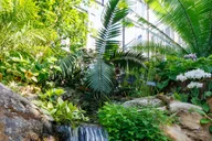 Memphis Botanic Garden Entry Ticket thumbnail 3